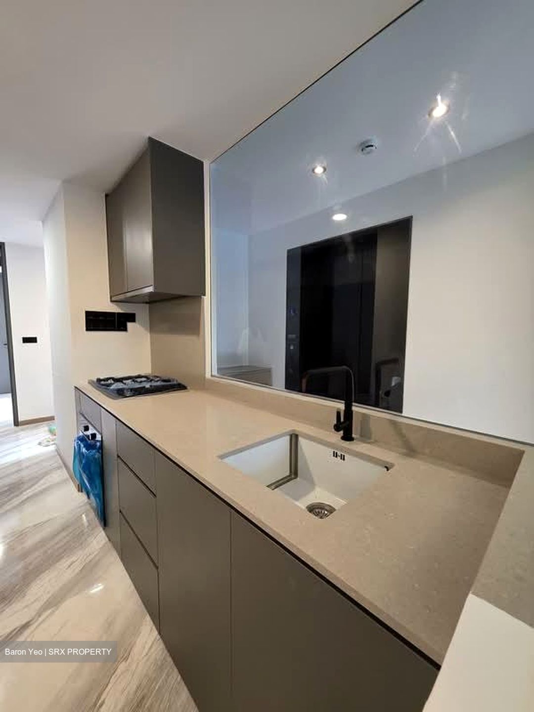 The Landmark (D3), Condominium #535133661